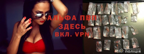 стафф Богданович