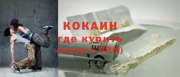 стафф Богданович
