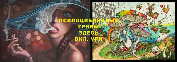 амфетамин Белокуриха