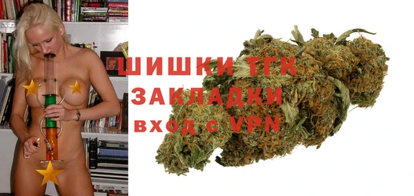стафф Богданович