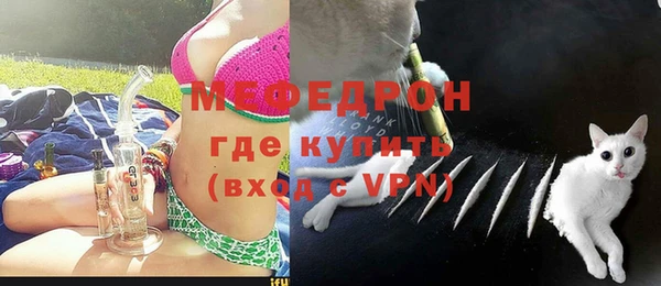 стафф Богданович