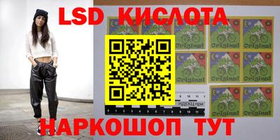 ПСИЛОЦИБИНОВЫЕ ГРИБЫ Пушкино