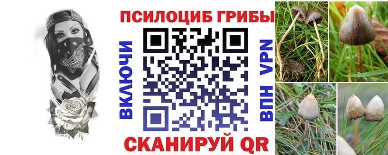 Псилоцибиновые грибы Psilocybe  Острогожск 
