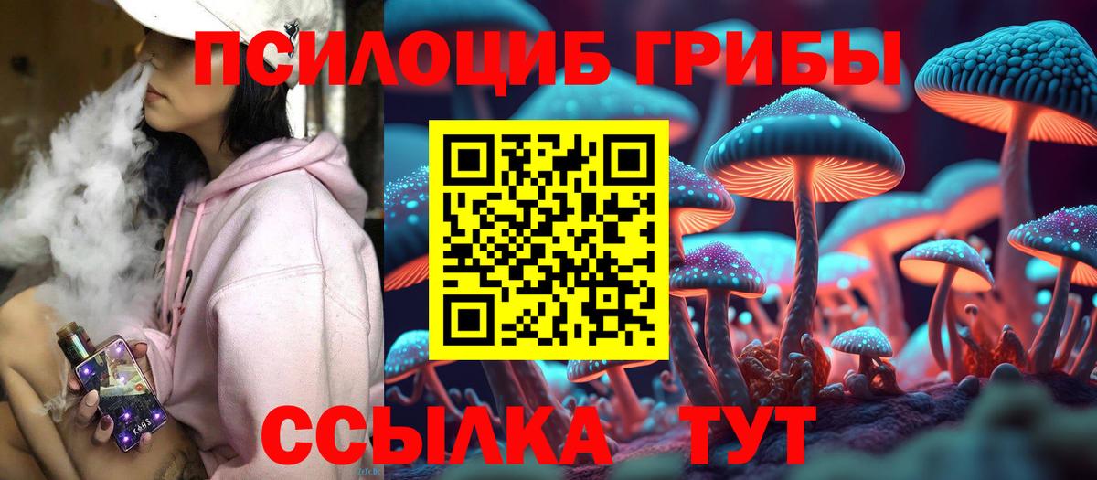 Галлюциногенные грибы Psilocybine cubensis Острогожск