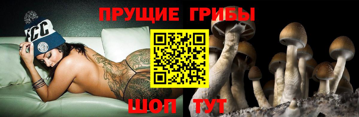 Галлюциногенные грибы Cubensis  Вход с VPN  Острогожск 